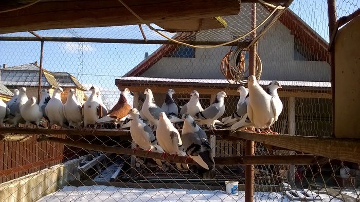 WP_20160123_15_14_09_Pro