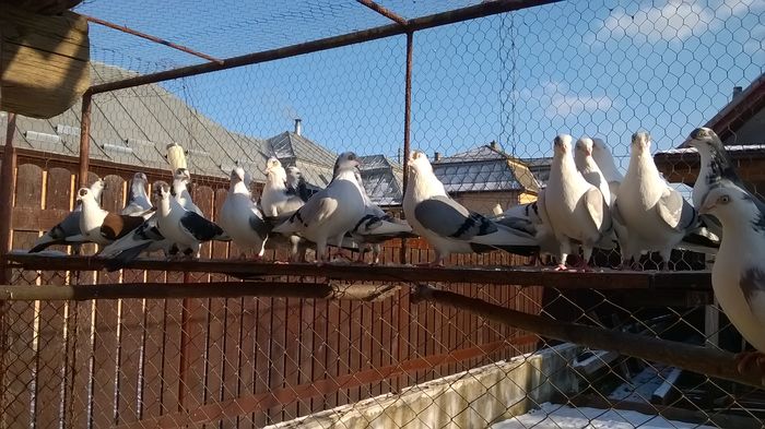 WP_20160123_15_14_19_Pro