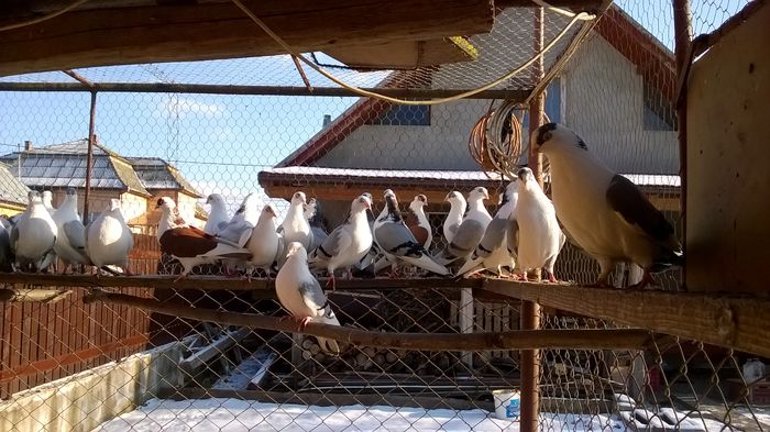 WP_20160123_15_14_32_Pro