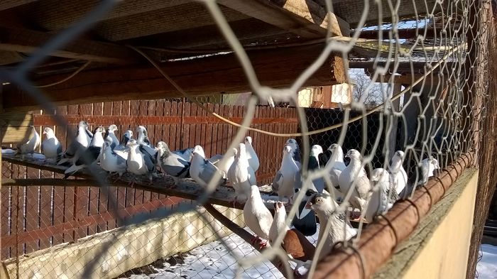 WP_20160123_15_14_48_Pro