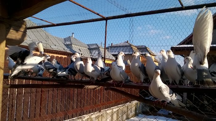 WP_20160123_15_15_22_Pro