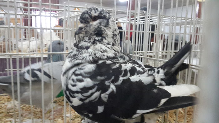 2016-01-23 16.09.00-2