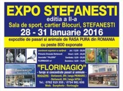 . - Expo Stefanesti 2016