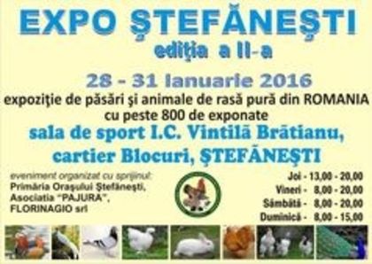 .. - Expo Stefanesti 2016