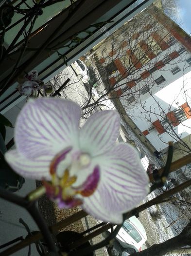 20160123_135414