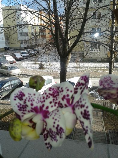20160123_135442