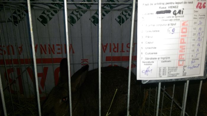 IMAG1646 - Expozitia Suceava editia -XIV-a ianuarie 2016