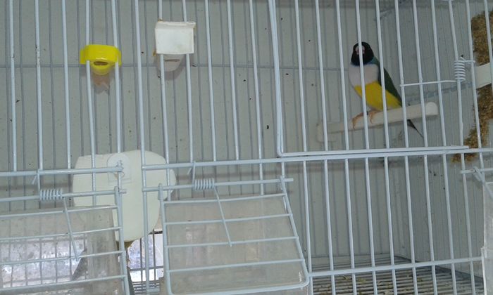 20160123_113757