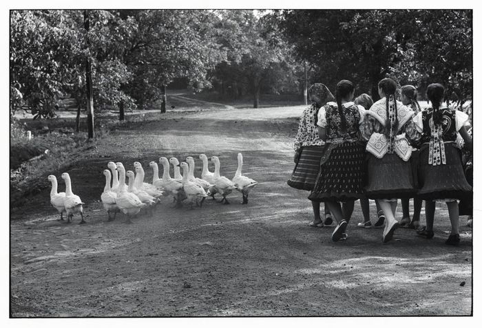 Elliott Erwitt 1964 - fotografi faimosi