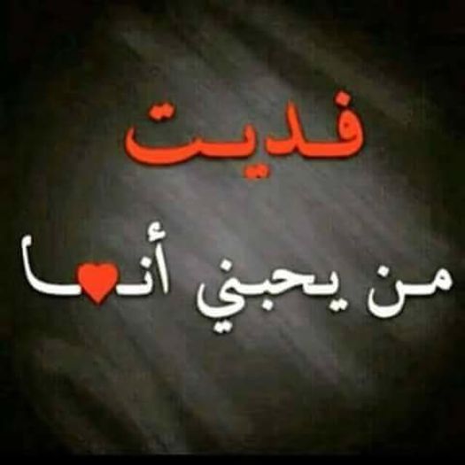 FB_IMG_1447255897817 - Poze 2015