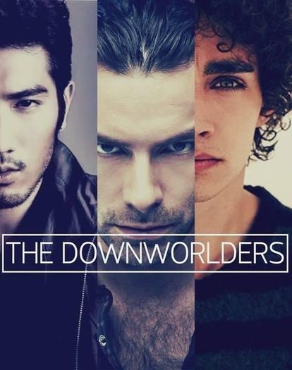 Shadowhunters (103)