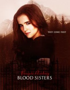 Vampire Academy 12 - Vampire Academy