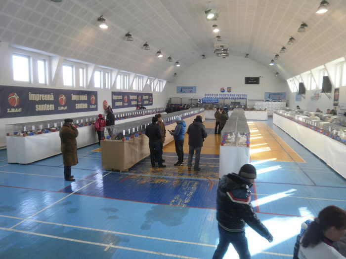 P1210071 - Expo-Constanta 2016