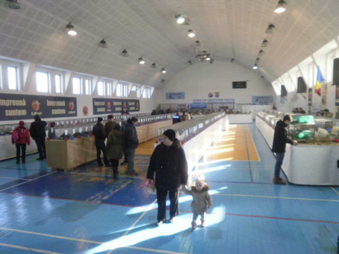 P1210069 - Expo-Constanta 2016