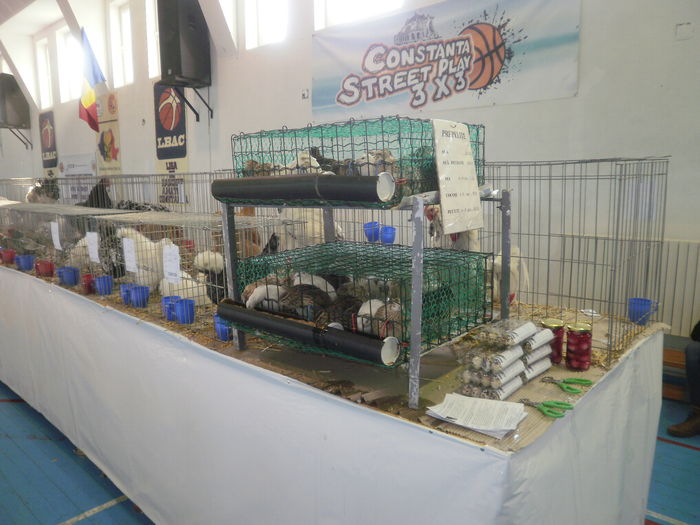 P1210068 - Expo-Constanta 2016