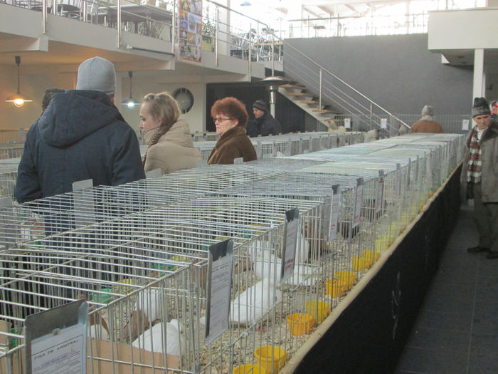 EXPOZITIE 22-24 IAN 2016