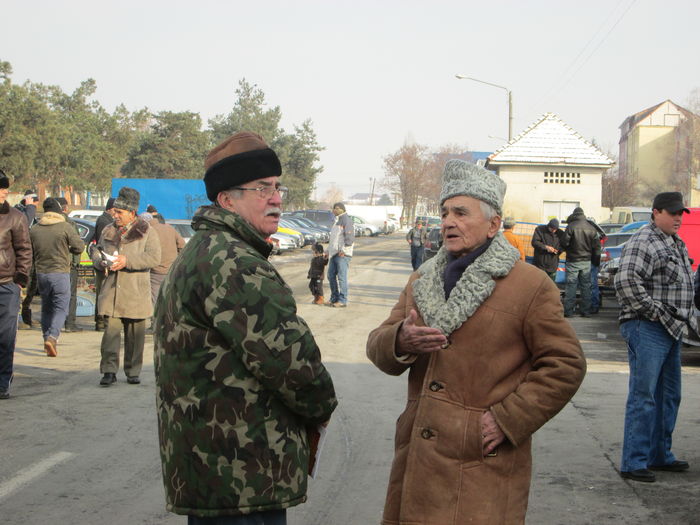 IMG_2642 - EXPOZITIA COLUMBOFILA FILIP CRISTIAN PETRU EDITIA IV 22 24 IAN 2016 BISTRITA