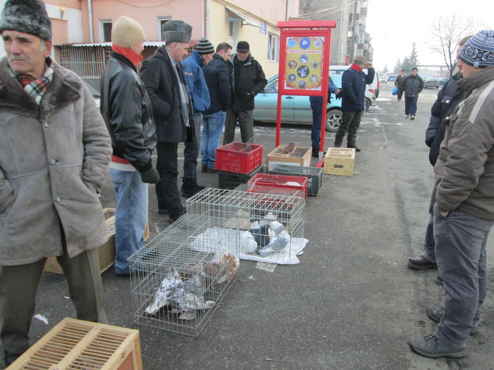 TARG IN AER LIBER BISTRITA