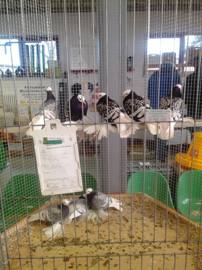 zeorniz2016IMG_20160109_093606