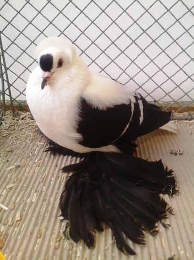 zeorniz2016IMG_20160109_102138