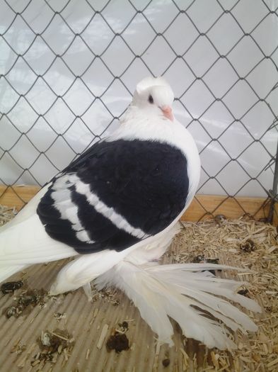 zeorniz2016IMG_20160109_104423