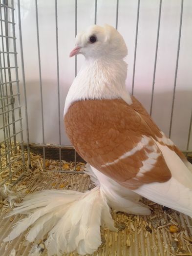 zeorniz2016IMG_20160109_104506