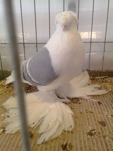 zeorniz2016IMG_20160109_104533