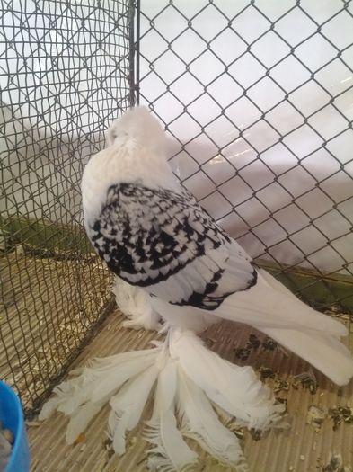 zeorniz2016IMG_20160109_104603