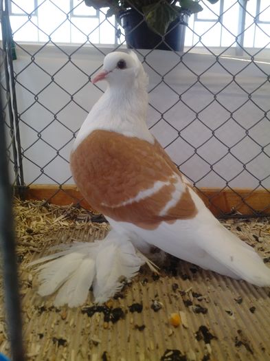 zeorniz2016IMG_20160109_104837