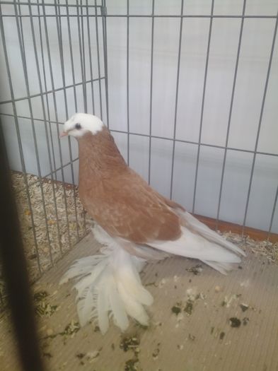 zeorniz2016IMG_20160109_105718