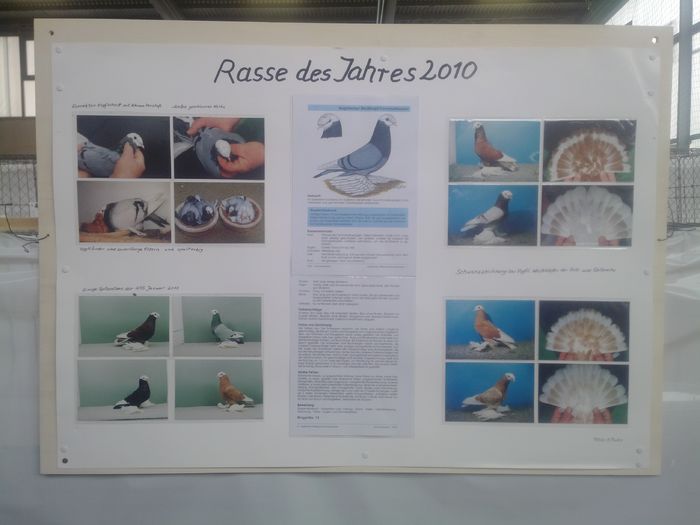 zeorniz2016IMG_20160109_105747