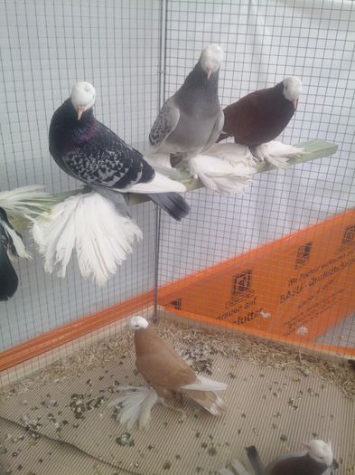 zeorniz2016IMG_20160109_105805