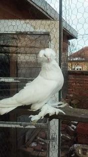 received_550803825094995