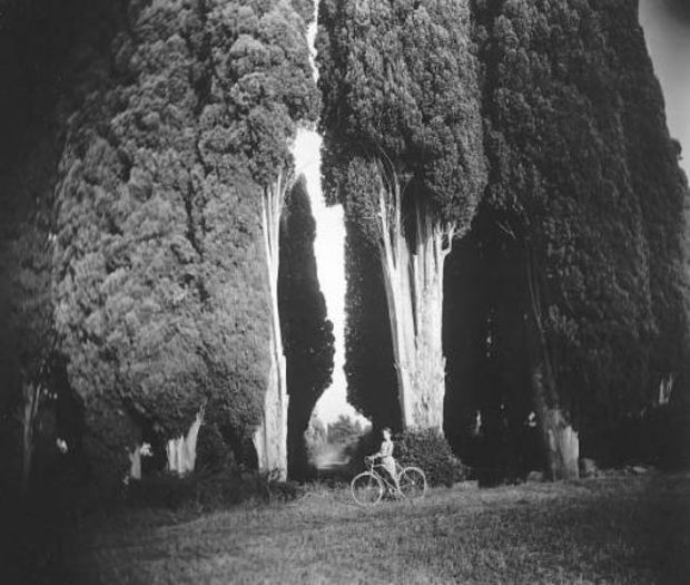 Sally Mann