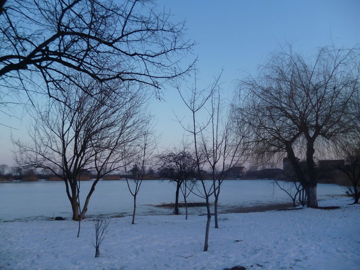Parcul Tineretului; Buzau, 24.1.2016
