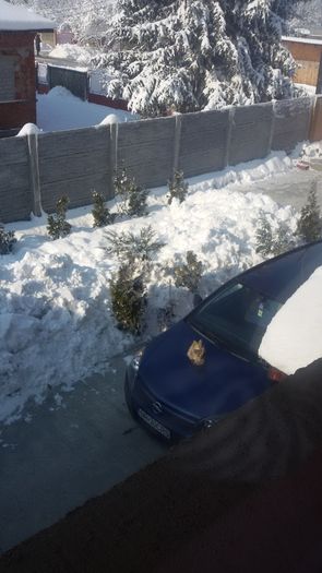 20160120_124429; Toat%u0103 ziua pe masina
