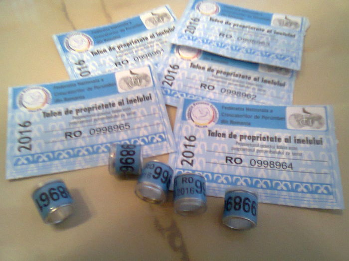 inele voiajori cu talon 2016 marime 8