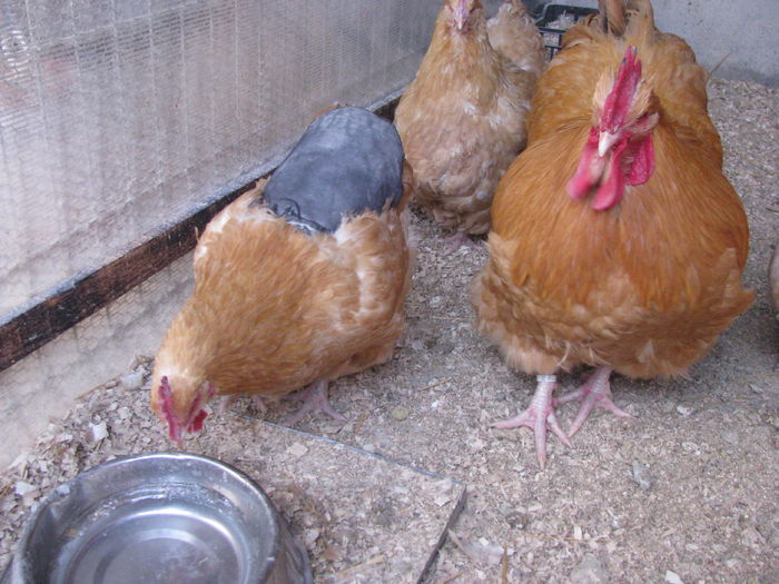 IMG_0014 - MATCA 2016