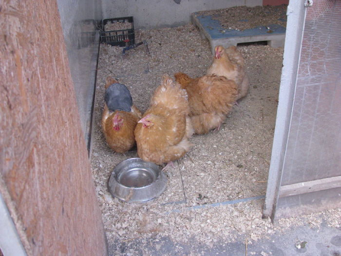 IMG_0015 - MATCA 2016