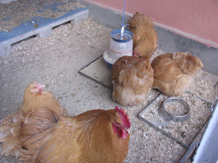 IMG_0016 - MATCA 2016