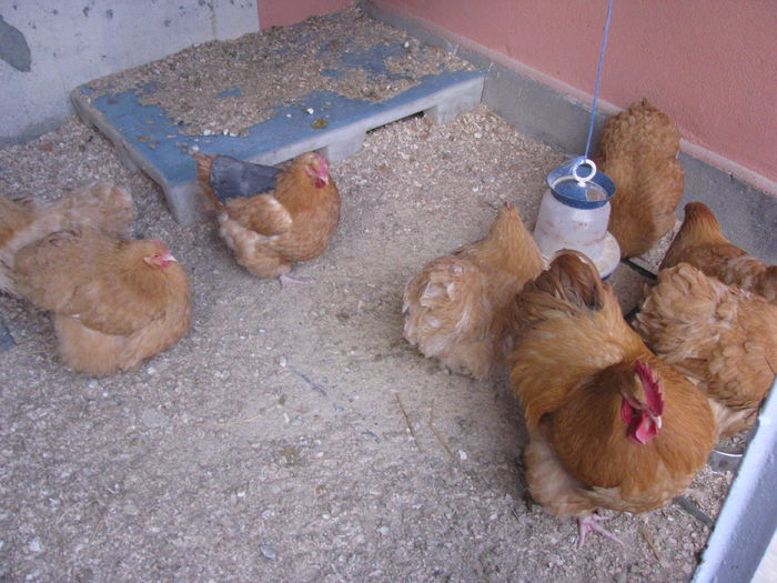 IMG_0017 - MATCA 2016