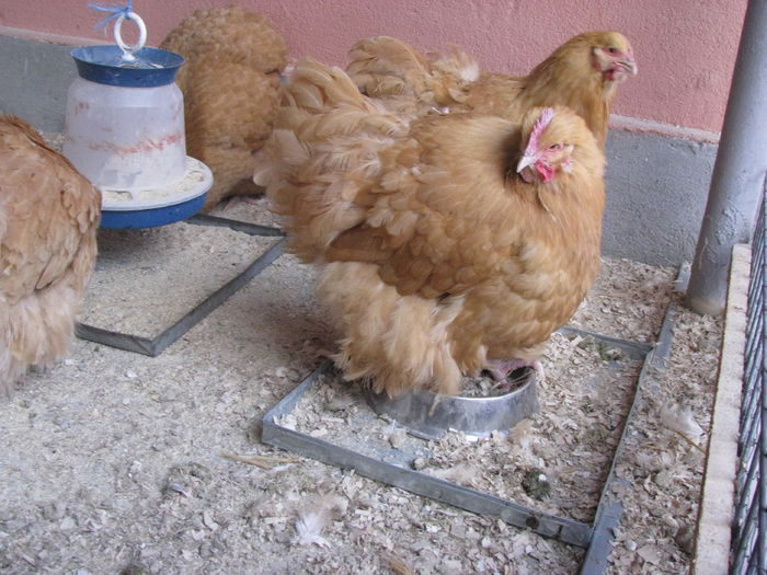 IMG_0020 - MATCA 2016