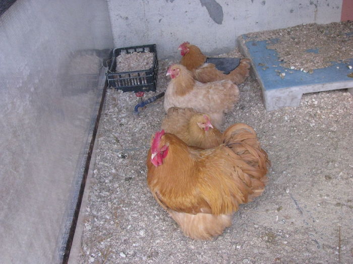 IMG_0021 - MATCA 2016