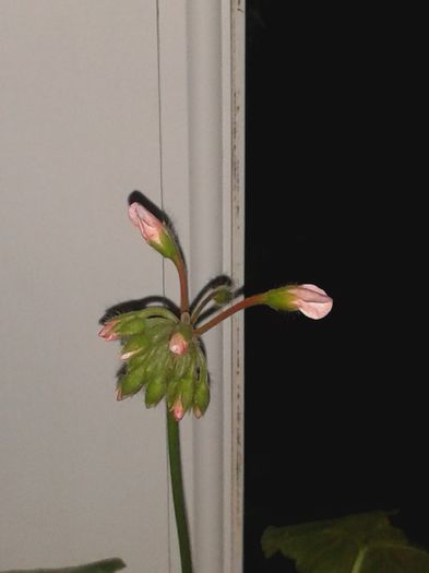 20160125_204910