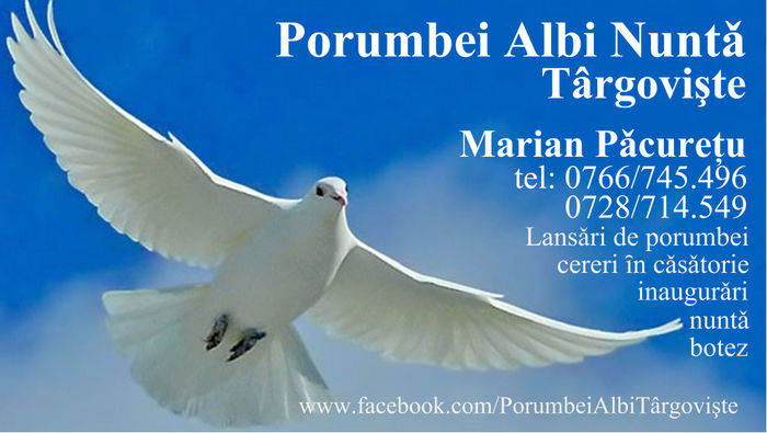 Porumbei Albi Targoviste; Porumbei albi de inchiriat Targoviste
0766745496
