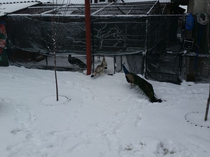 20160126_090147