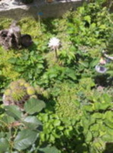 105445509_PXILKWE3-1