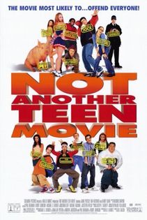 [lnca un film despre adolescenti]