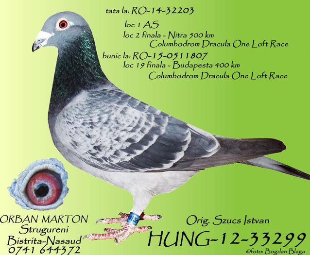 HUNG-12-33299 - cuplu10