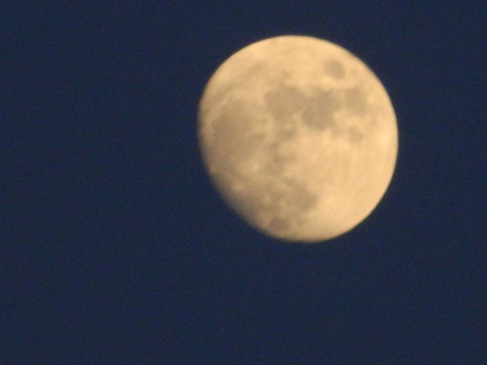 DSCN7265 - 2016 CERUL